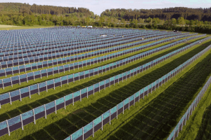 Freiflächen-Photovoltaik: In großen Schritten zum erfolgreichen Projekt